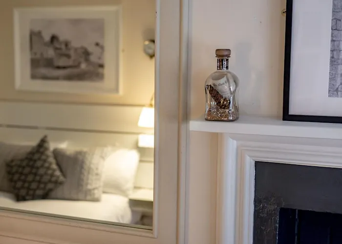 Dove Street Apartment
